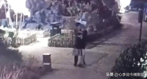 吃瓜的代价完整视频,一场网络舆论的深度剖析