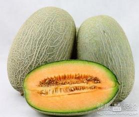 猫崽可以吃哈密瓜吗视频,哈密瓜，猫崽的夏日美味吗？