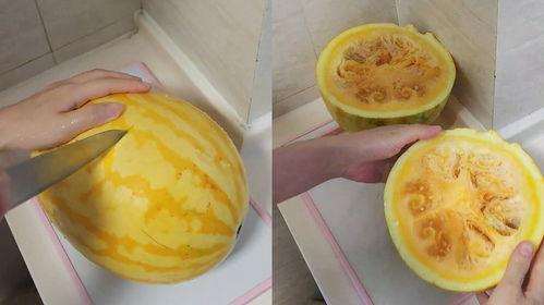 吃黄皮瓜视频教程下载,轻松学会家常美味
