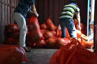 超酷的超人吃瓜视频大全,笑料横飞视频大全