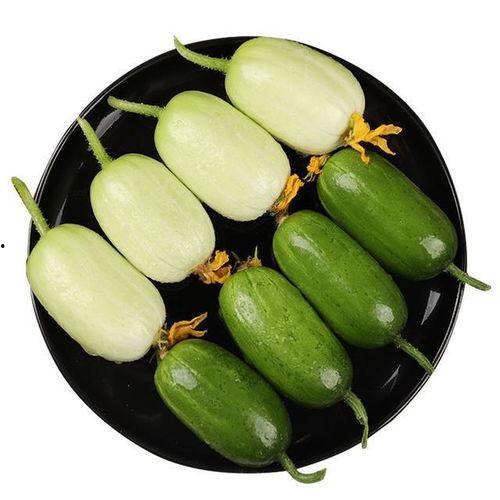 药瓜怎么吃最好吃呢视频,视频教你如何吃出最佳口感