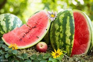 吃瓜视频多少钱