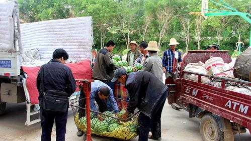 峡口镇吃瓜视频,揭秘当地特色美食与风土人情