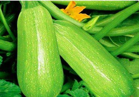 茭瓜难不难炒着吃呢视频,轻松掌握家常美味