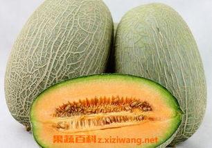 指责妻子吃哈密瓜视频下载