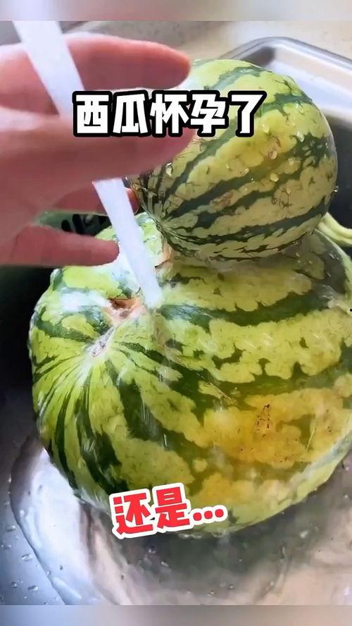 吃咸瓜干搞笑视频大全,笑料横生，回味无穷