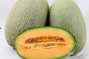 动物吃哈密瓜的视频大全,动物们的哈密瓜美食之旅