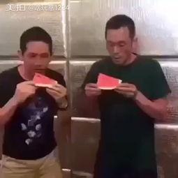 沧玄吃瓜搞笑视频大全免费观看,欢乐无限，免费畅享