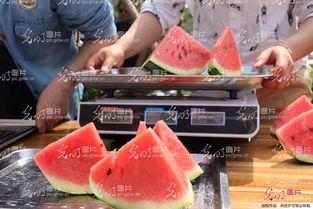 山东干部吃瓜视频最新,揭秘官场“休闲时刻”