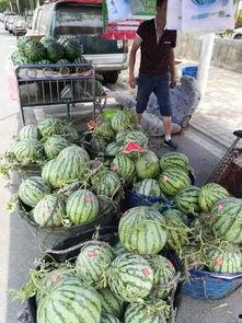 莱阳七夕吃瓜事件视频