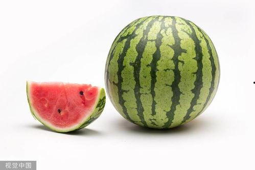 吃瓜大西瓜视频大全,大西瓜视频大全带你领略瓜界风采