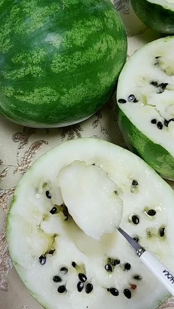 吃瓜子压瓜视频,趣味视频走红网络