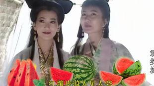 改编歌曲吃瓜赏花视频,改编歌曲视频带你领略田园风光