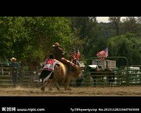 赛马吃瓜视频大全集,视频大全集精彩瞬间回顾