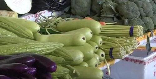 中国人吃毒瓜视频,中国人食用中毒背后的真相