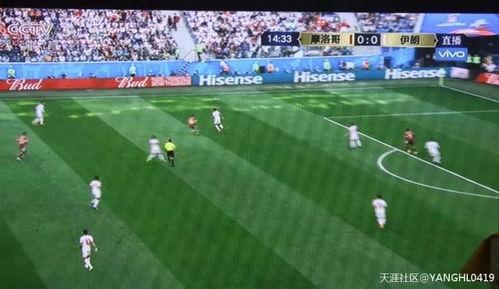 吃瓜群众踢足球视频,吃瓜群众足球场上的欢乐瞬间