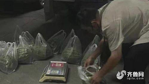 山东东营吃瓜事件视频曝光,真相与争议交织