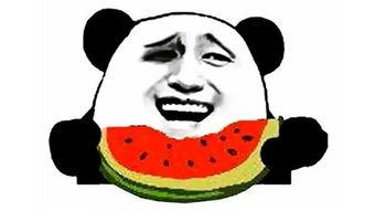 搞笑吃瓜阿姨视频下载免费