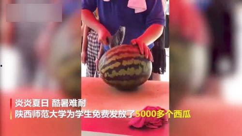 陕西跳舞吃瓜视频播放,传统与现代的完美融合