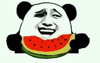 痞呦吃瓜的视频,揭秘娱乐圈幕后真相，带你领略明星们的真实生活