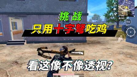 吃鸡视频突击手蜜瓜,揭秘战场上的甜蜜利器