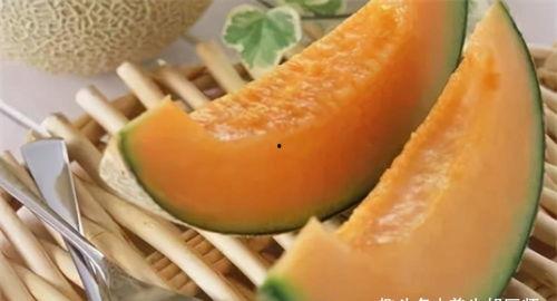 大嘴猴吃哈密瓜视频播放,萌态十足引网友热议