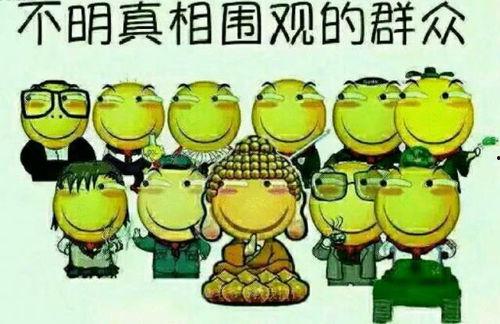 吃瓜群众搞笑发言视频,笑料百出视频集锦